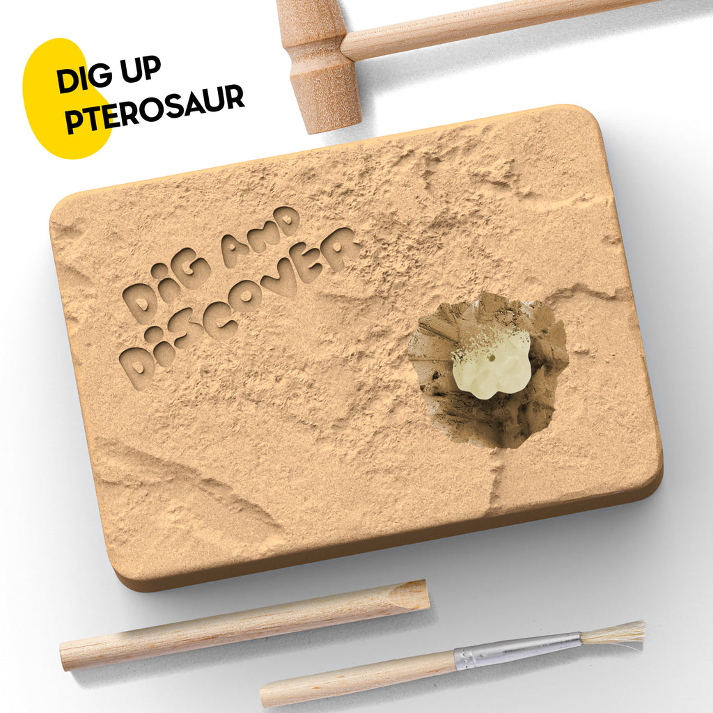 Piano Potato Pterosaur Skeleton Dig Kit – Excavate, Assemble & Display