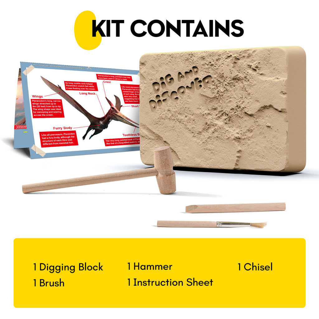 Piano Potato Pterosaur Skeleton Dig Kit – Excavate, Assemble & Display