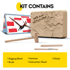 Piano Potato Pterosaur Skeleton Dig Kit – Excavate, Assemble & Display