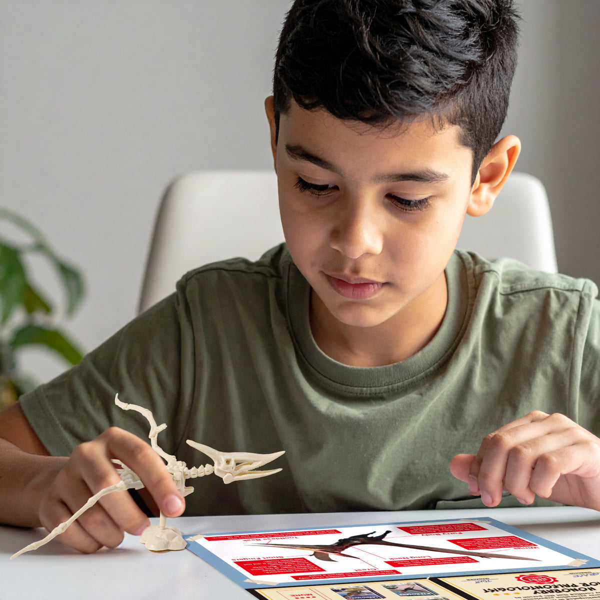 Piano Potato Pterosaur Skeleton Dig Kit – Excavate, Assemble & Display