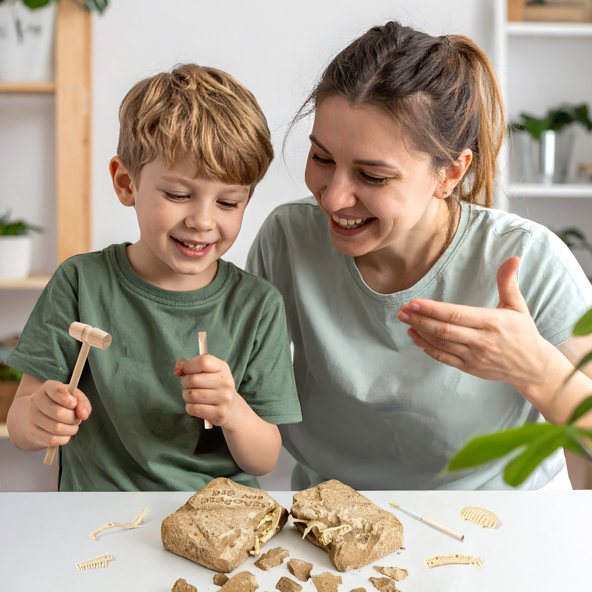 Piano Potato Pterosaur Skeleton Dig Kit – Excavate, Assemble & Display