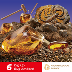 Bug Amber Dig Kit
