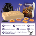 Bug Amber Dig Kit