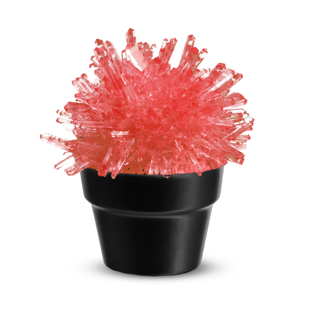 Piano Potato Crystal Cactus Growing Kit – Red Crystals, Ages 8+