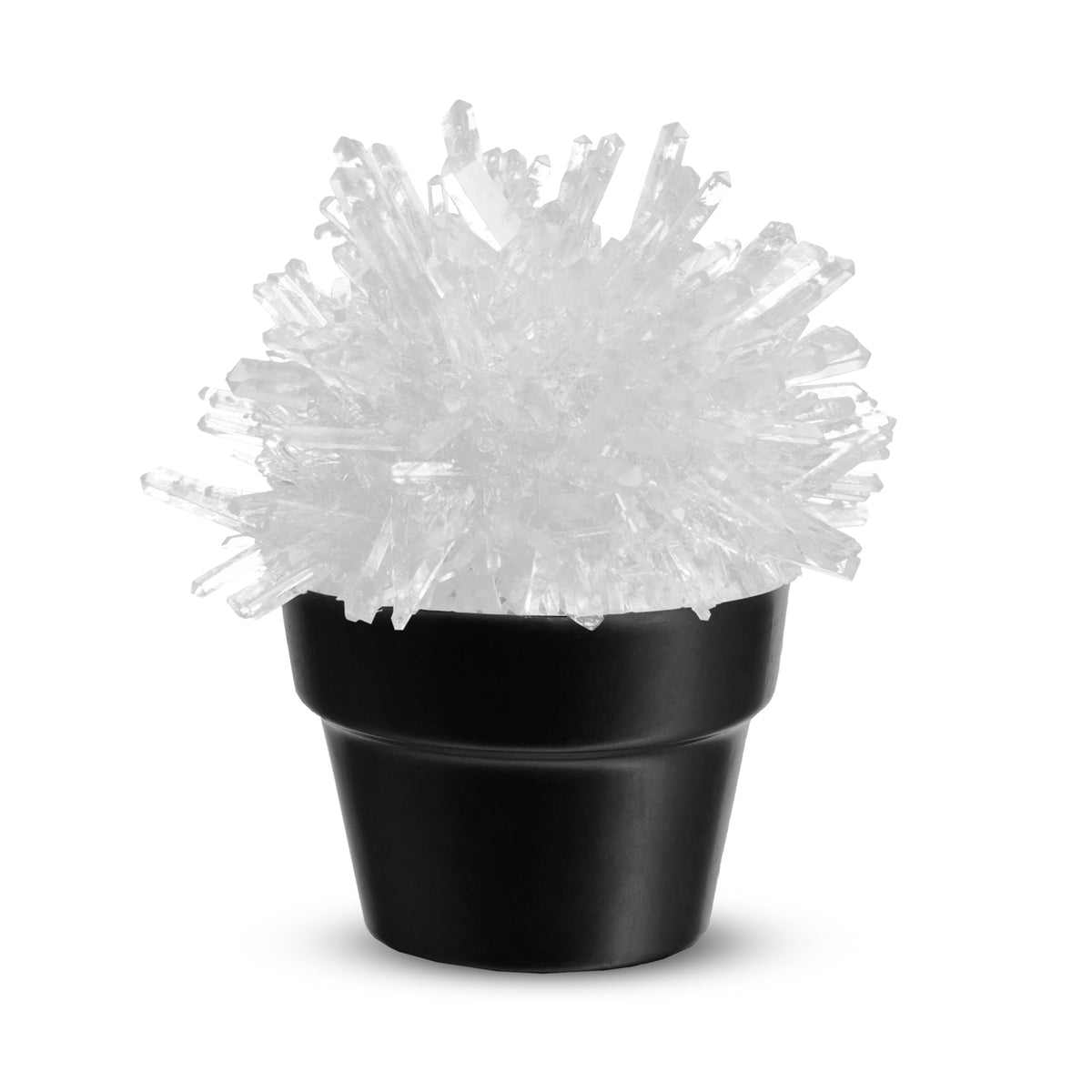 Piano Potato Crystal Cactus Growing Kit – Clear Crystals, Ages 8+