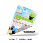 Piano Potato Crystal Cactus Growing Kit – Red Crystals, Ages 8+