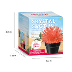Piano Potato Crystal Cactus Growing Kit – Red Crystals, Ages 8+