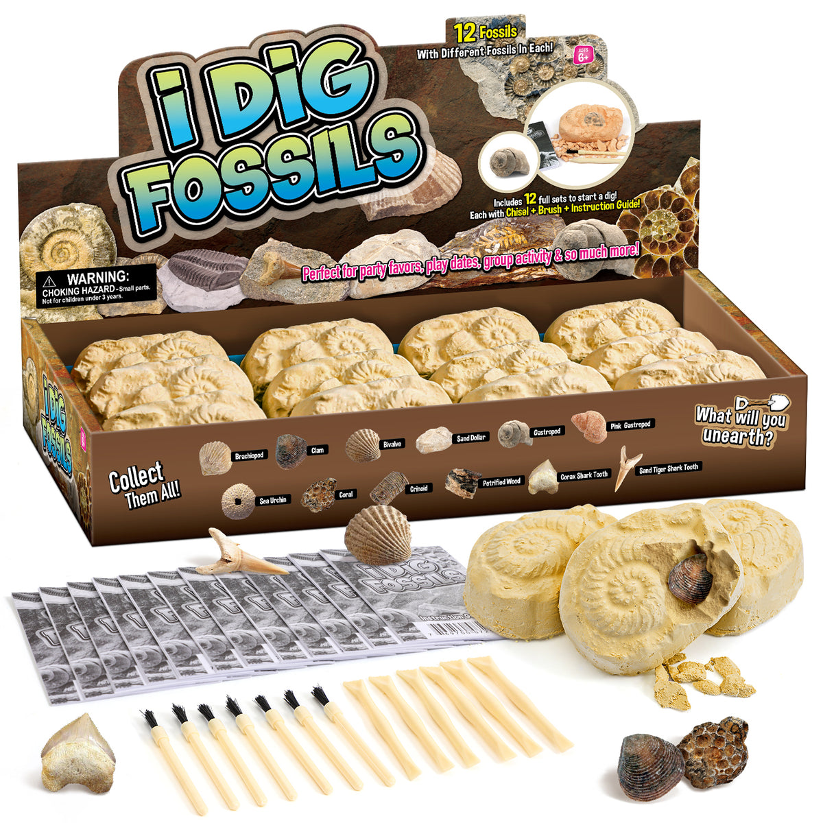Gamerside Fossil Digging Kit, 12 Real Fossils & Dino Bones & Mess-Free Mat