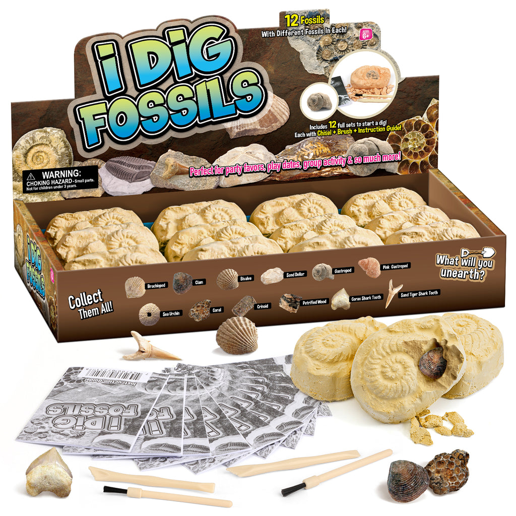 Gamerside Fossil Digging Kit, 12 Real Fossils & Dino Bones & Mess-Free Mat