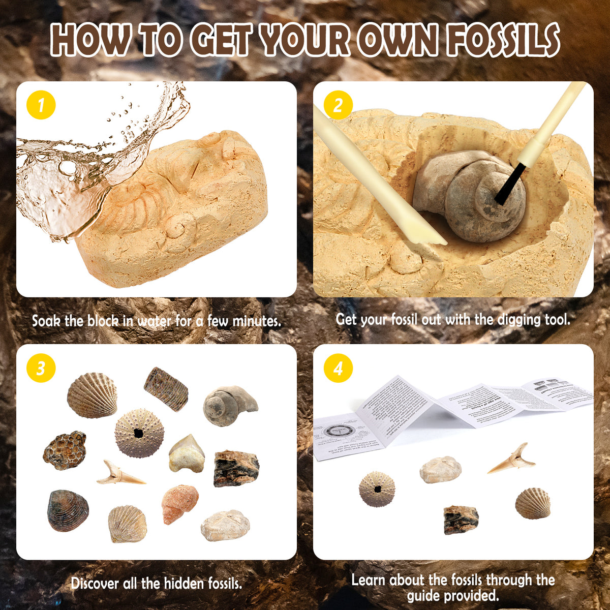 Gamerside Fossil Digging Kit, 12 Real Fossils & Dino Bones & Mess-Free Mat