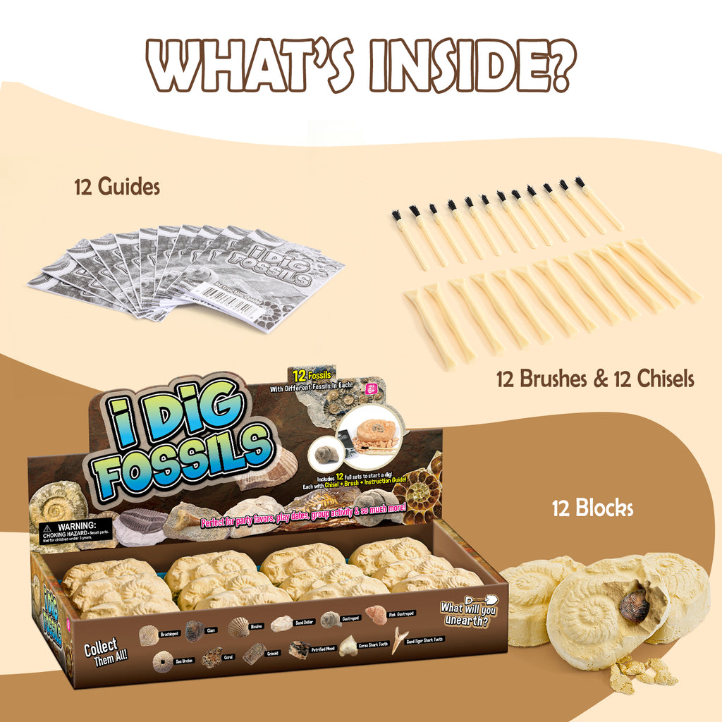 Gamerside Fossil Digging Kit, 12 Real Fossils & Dino Bones & Mess-Free Mat