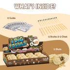 Gamerside Fossil Digging Kit, 12 Real Fossils & Dino Bones & Mess-Free Mat