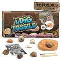 Gamerside Fossil Digging Kit, 12 Real Fossils & Dino Bones & Mess-Free Mat