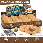 Gamerside Fossil Digging Kit, 12 Real Fossils & Dino Bones & Mess-Free Mat