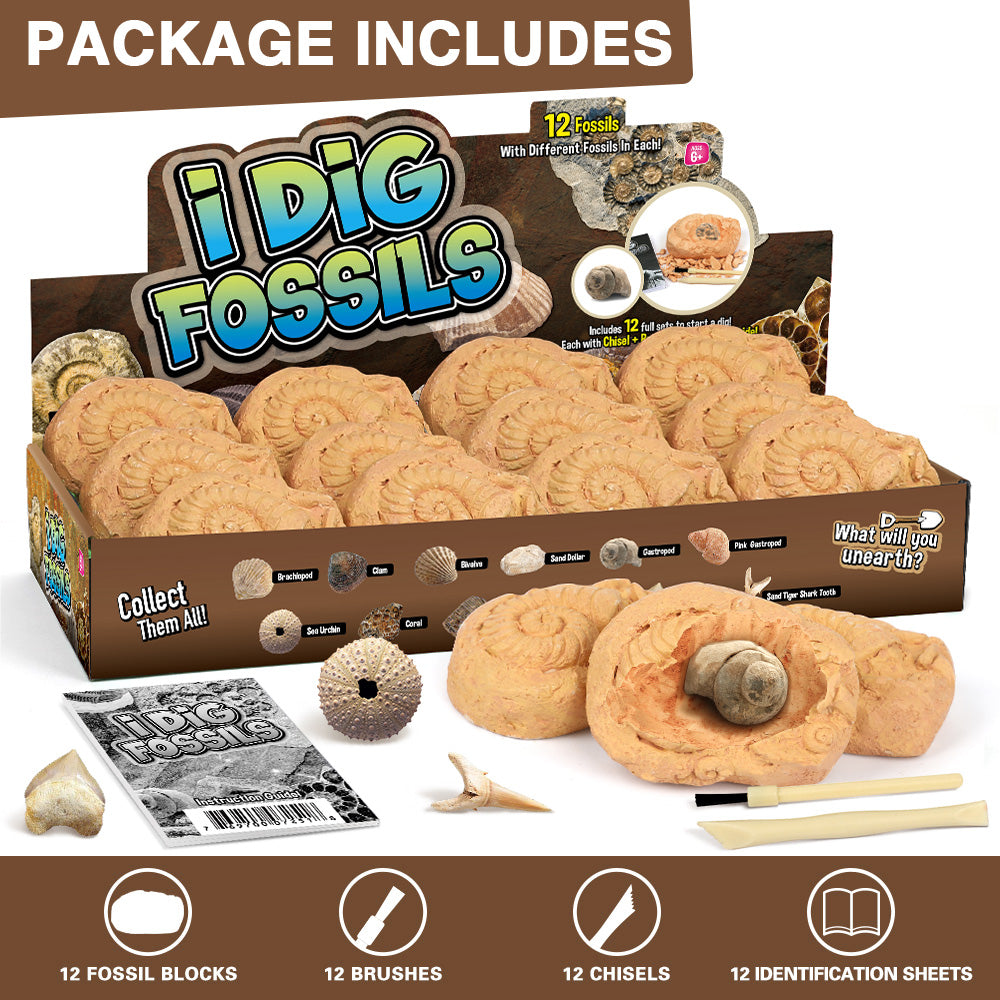 Gamerside Fossil Digging Kit, 12 Real Fossils & Dino Bones & Mess-Free Mat