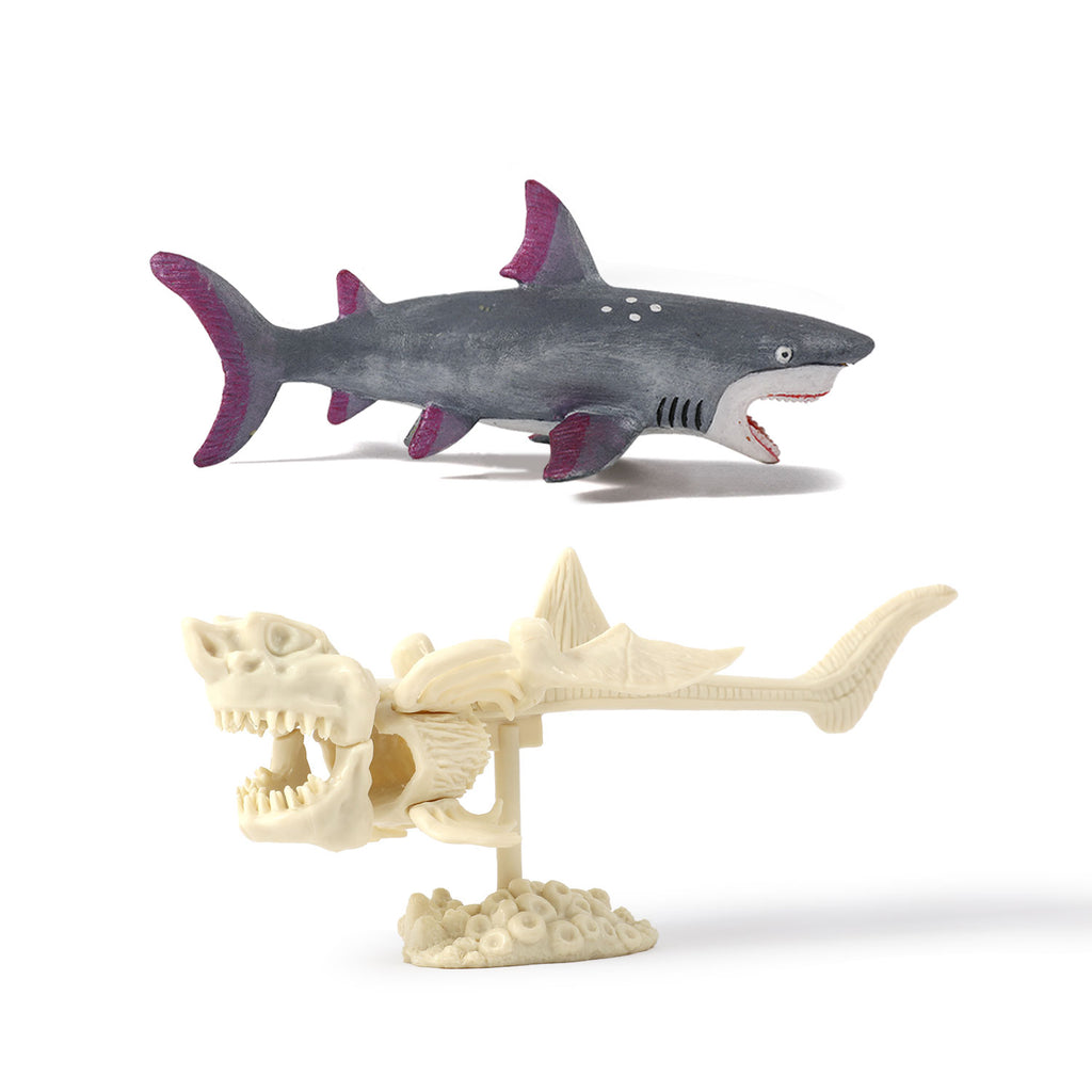 Shark Attack Megalodon Dig & Build Activity Kit