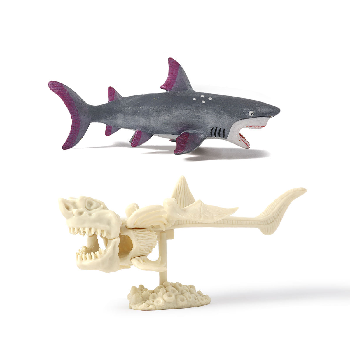 Shark Attack Megalodon Dig & Build Activity Kit