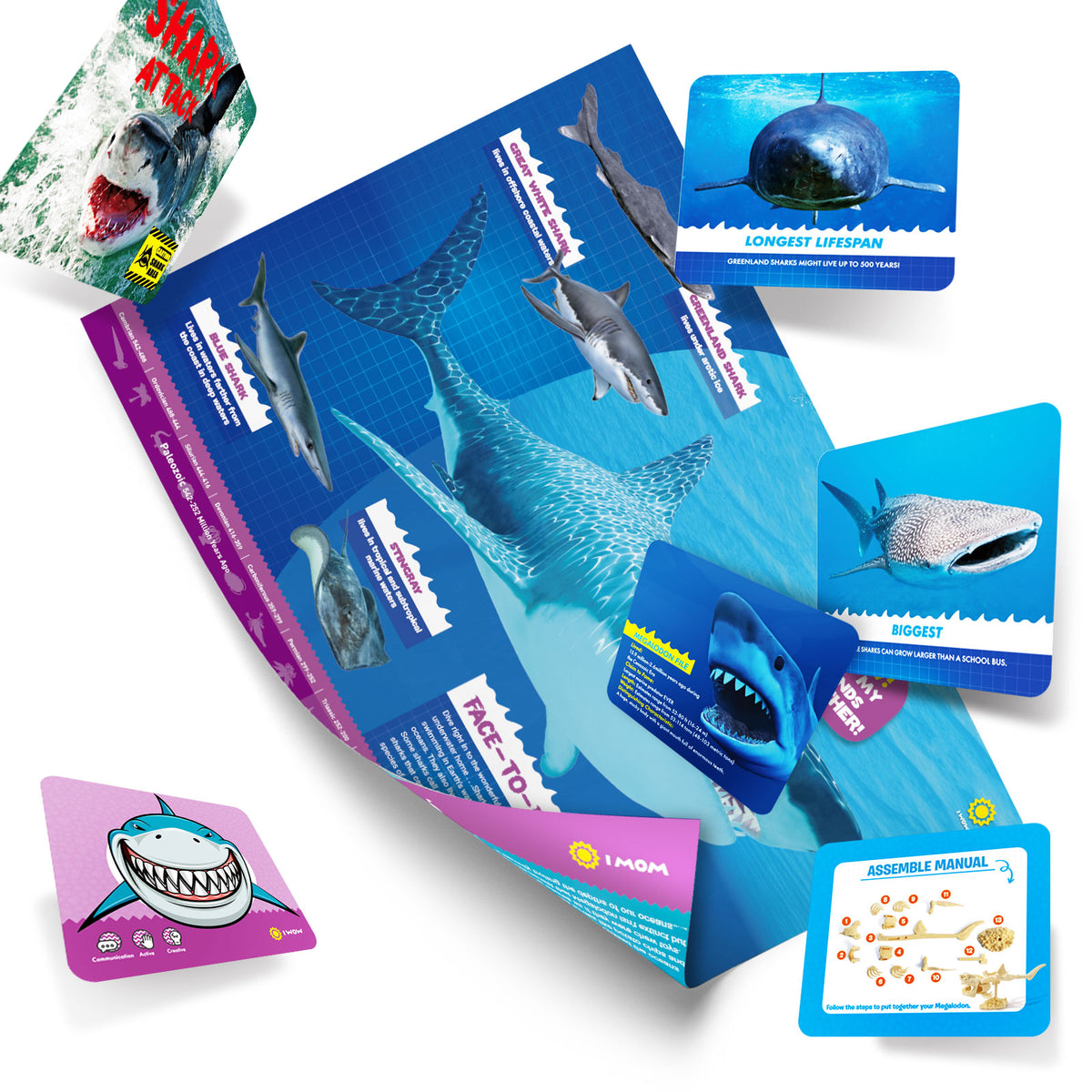 Shark Attack Megalodon Dig & Build Activity Kit