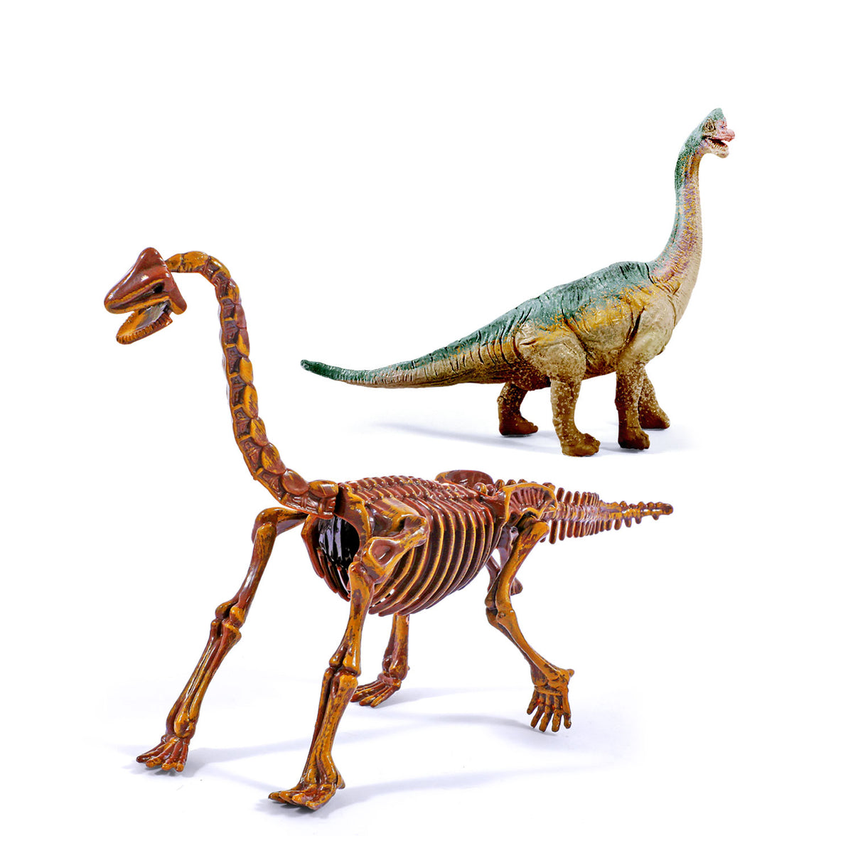 Piano Potato Brachiosaurus Dinosaur Dig & Paint Kit – 2-in-1 Excavation Activity