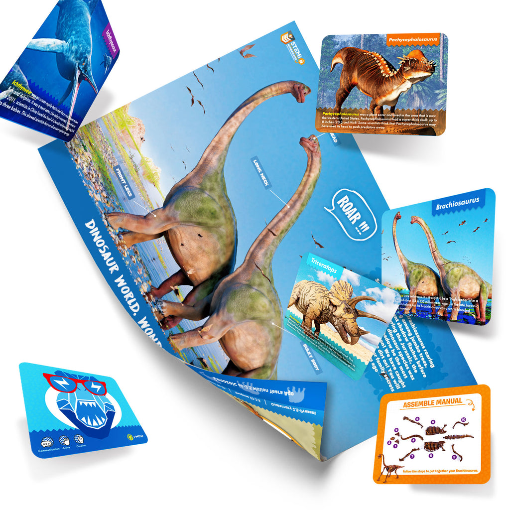 Piano Potato Brachiosaurus Dinosaur Dig & Paint Kit – 2-in-1 Excavation Activity