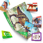 Dinosaur Tyrannosaurus Excavation & Build Kit