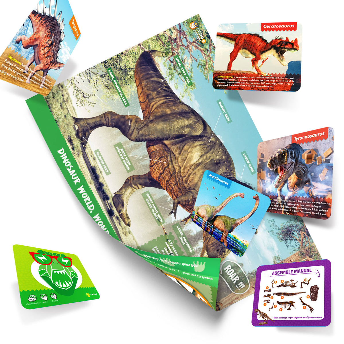 Dinosaur Tyrannosaurus Excavation & Build Kit
