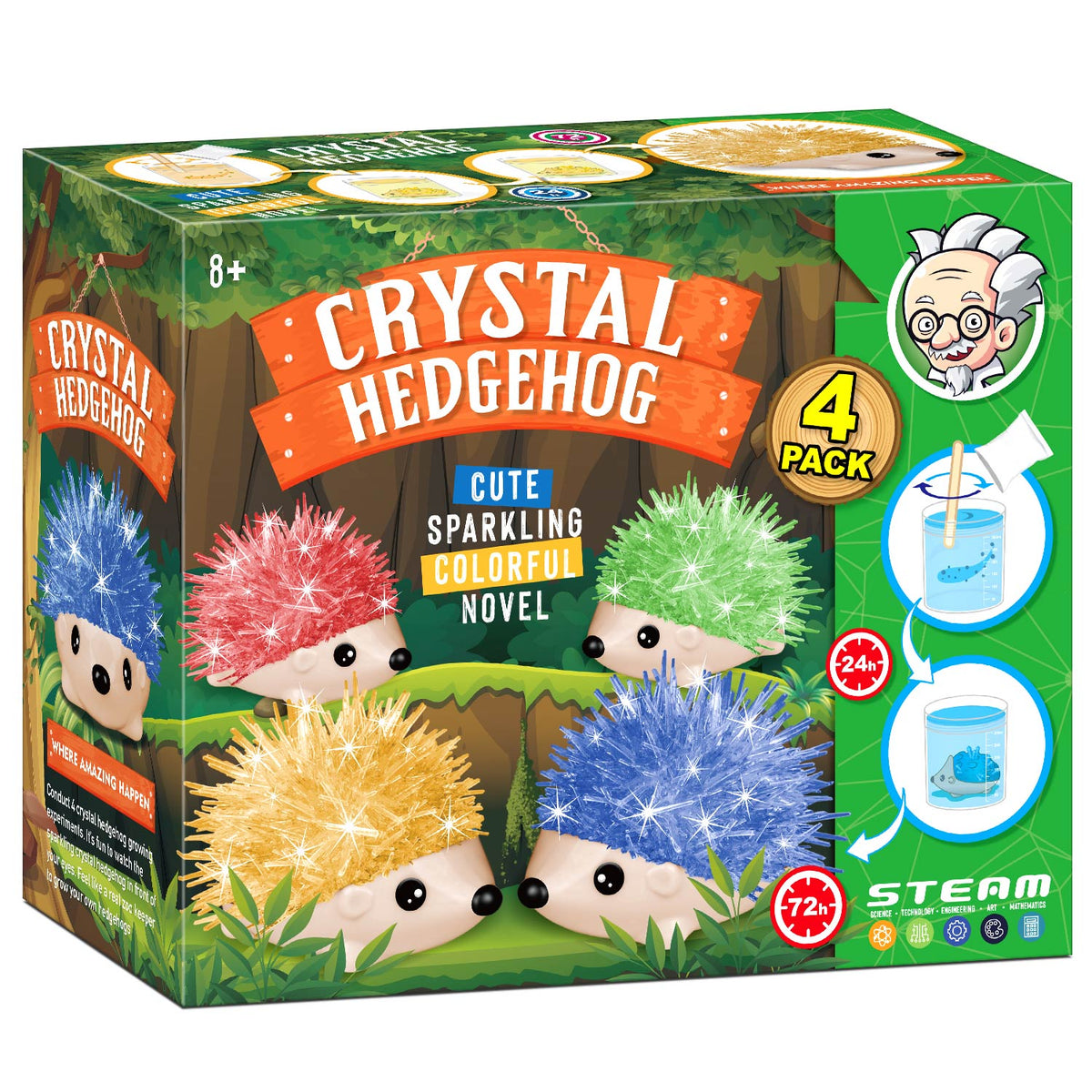 Crystal Growing Kit - 4 Vibrant Hedgehogs Fast 24H, STEM Gift for Kids 6-12