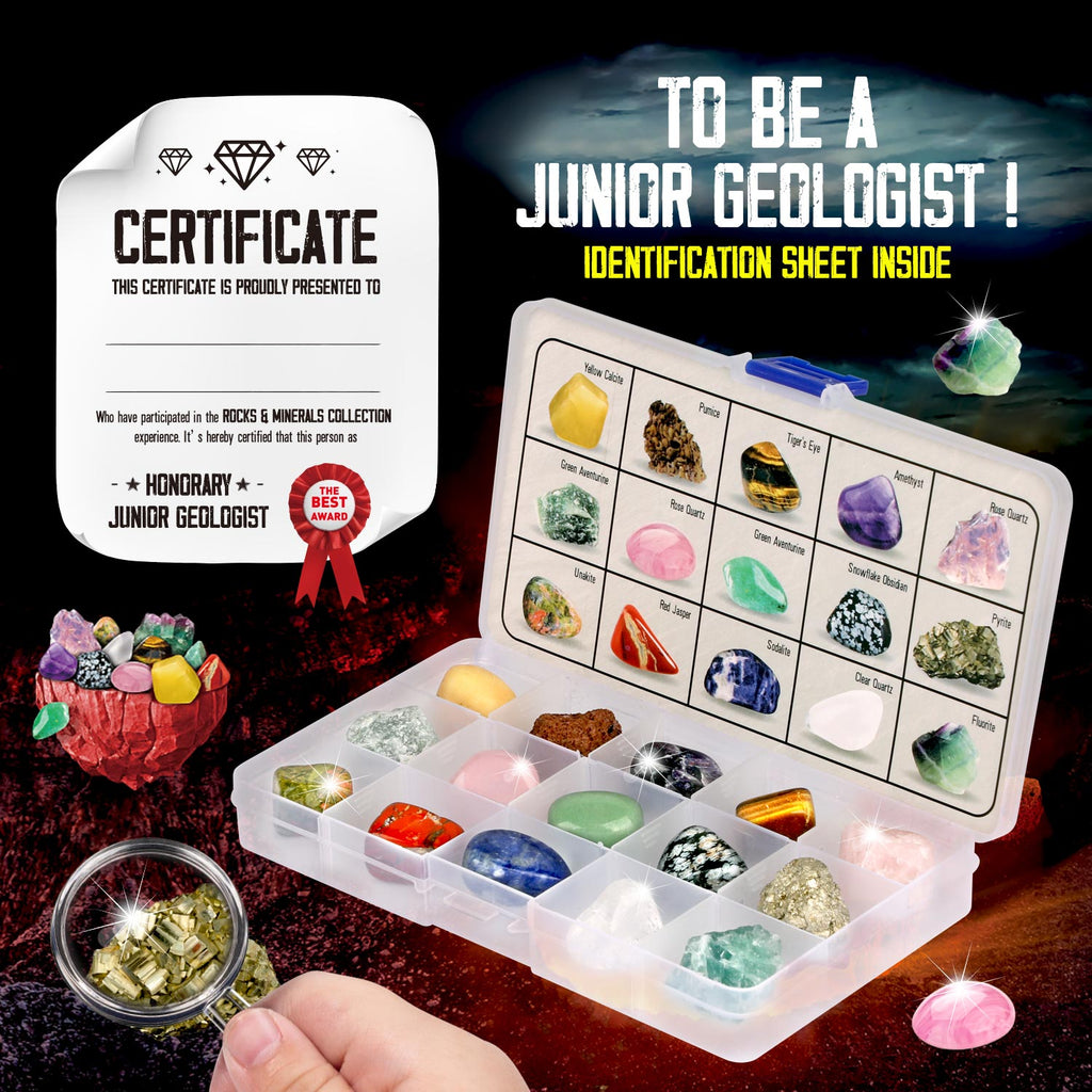 Piano Potato Rock & Mineral Starter Kit - 15 Specimens with ID Sheet