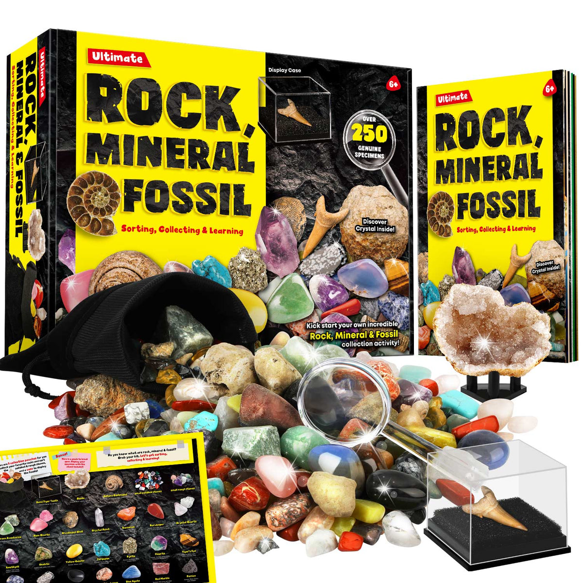 Rocks Minerals Fossils Science Kit-250+ Real Gems, Display Case, Kids Gift