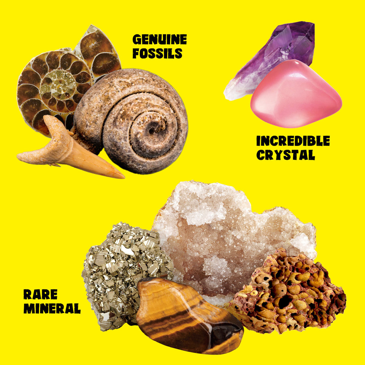 Rocks Minerals Fossils Science Kit-250+ Real Gems, Display Case, Kids Gift
