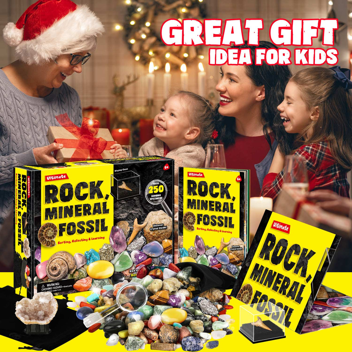 Rocks Minerals Fossils Science Kit-250+ Real Gems, Display Case, Kids Gift