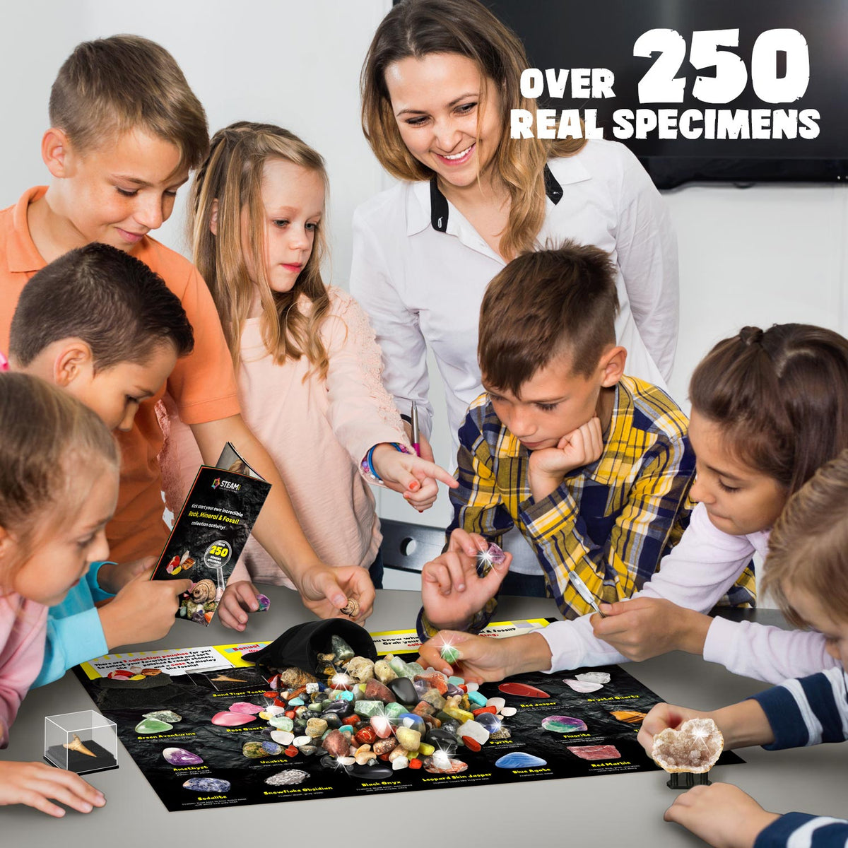 Rocks Minerals Fossils Science Kit-250+ Real Gems, Display Case, Kids Gift