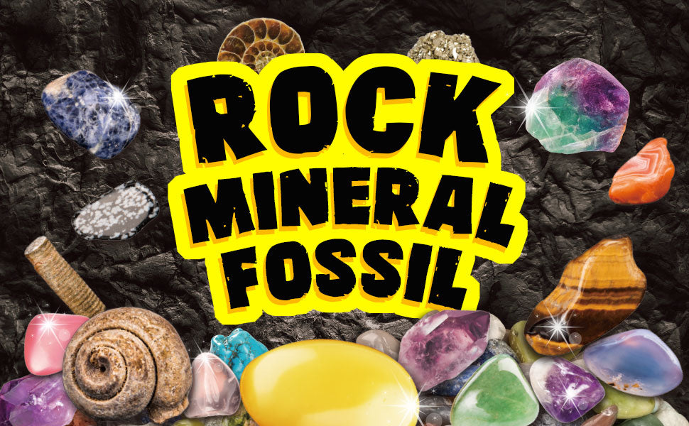 Rocks Minerals Fossils Science Kit-250+ Real Gems, Display Case, Kids Gift
