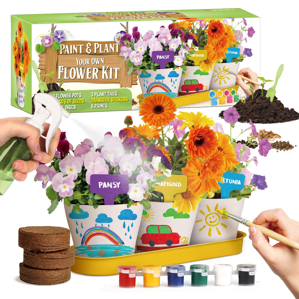 Piano Potato Paint & Plant Flower Growing Kit for Kids – DIY Garden Craft Set