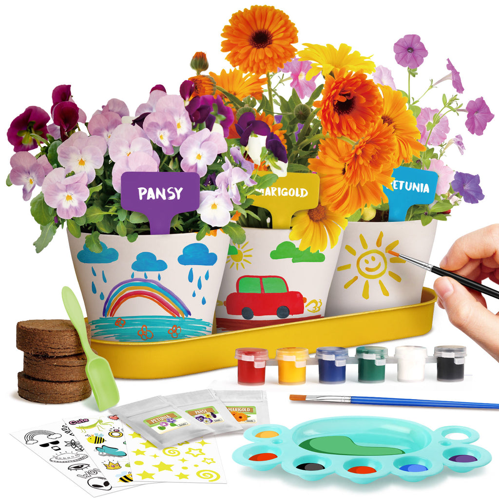 Piano Potato Paint & Plant Flower Growing Kit for Kids – DIY Garden Craft Set
