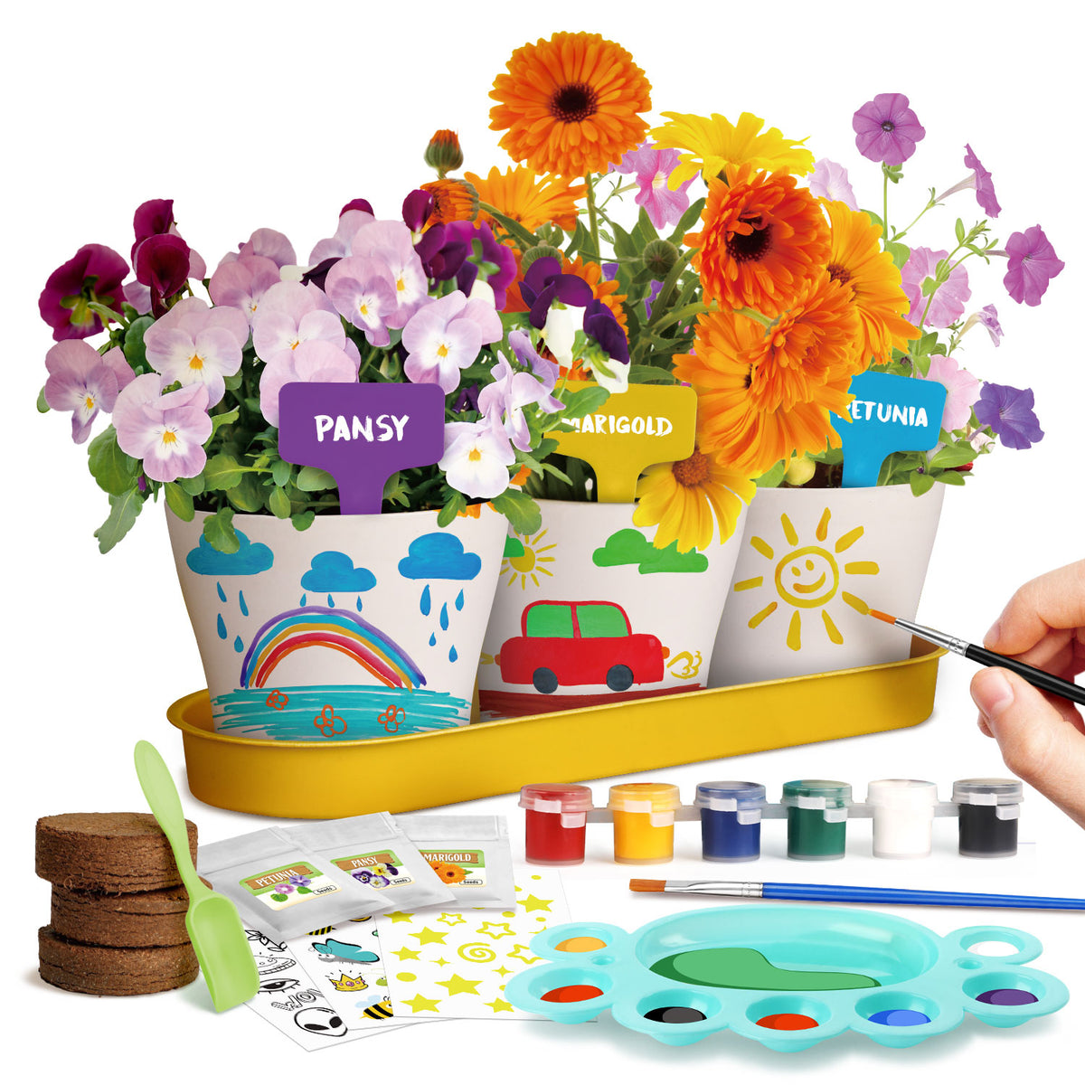 Piano Potato Paint & Plant Flower Growing Kit for Kids – DIY Garden Craft Set