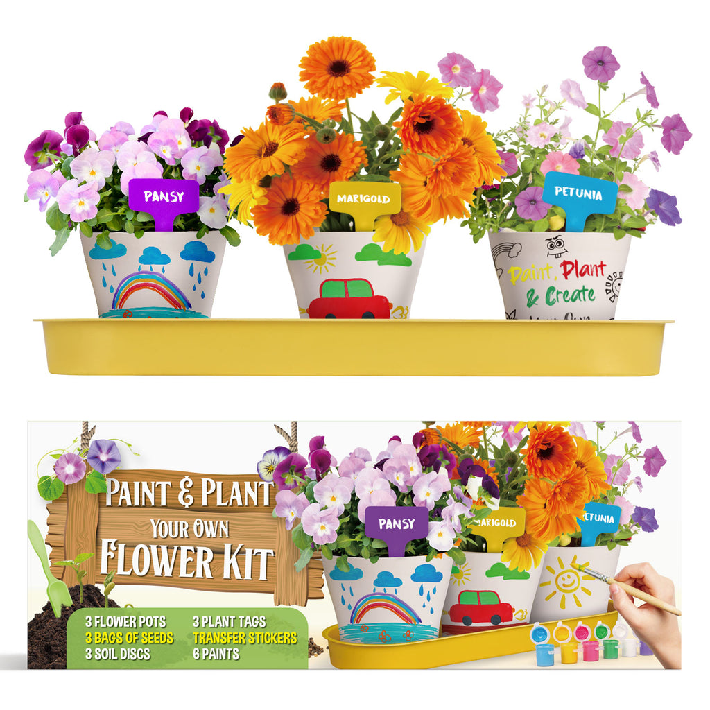 Piano Potato Paint & Plant Flower Growing Kit for Kids – DIY Garden Craft Set