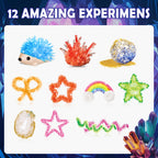 Piano Potato Crystal Growing Kit - 12 Crystal Shapes STEM Science Set
