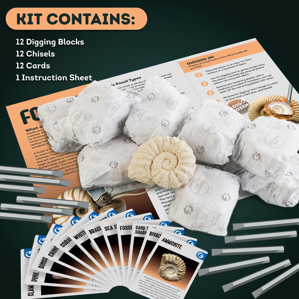 Fossil Dig Kit, 12 Fossils with Zero-Mess Mat, STEM Toy 6-12