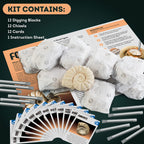 Rocks & Minerals Dig Kit - 12 Pack Real Gemstone Excavation Bricks, Crystals, Pyrite, Amethyst Archeology Digging Toys, STEM Educational Gift Box Party Favors for Kids Boys Girls Age 6+