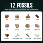 Rocks & Minerals Dig Kit - 12 Pack Real Gemstone Excavation Bricks, Crystals, Pyrite, Amethyst Archeology Digging Toys, STEM Educational Gift Box Party Favors for Kids Boys Girls Age 6+