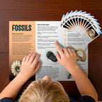 Fossil Dig Kit, 12 Fossils with Zero-Mess Mat, STEM Toy 6-12
